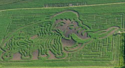 Wolly Mammoth Maze.